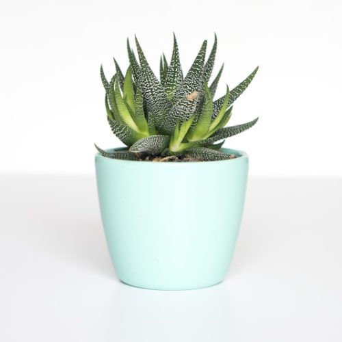 product_4647